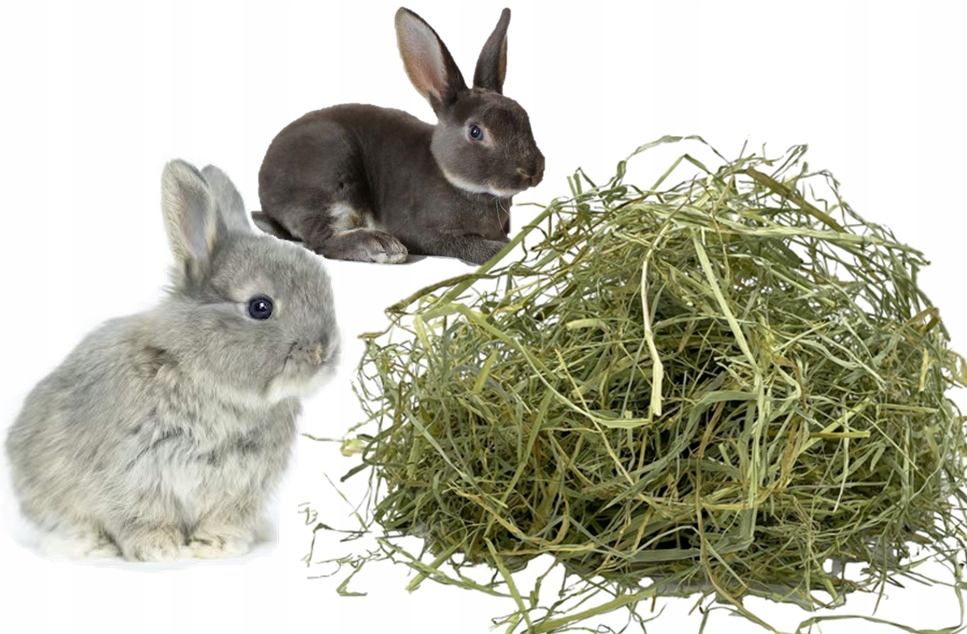 Levně Ekologické seno pro králíky chované pro hospodářské účely, miniatury, 6 kg