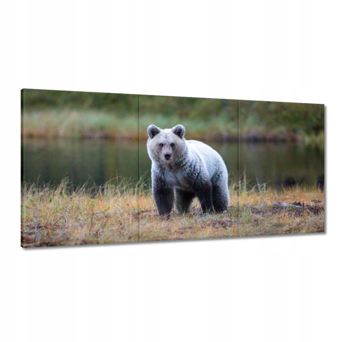 Obrazy 180x90 Zvieratá Zvieratká