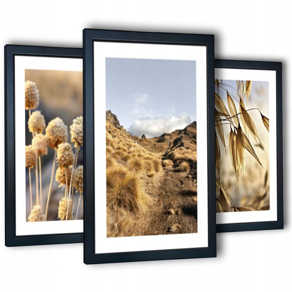 

3 obrazy w ramach na ścianę Górska flora 43x99