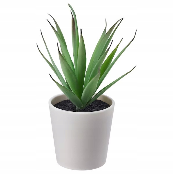

Ikea sztuczna roślina Fejka sukulent Aloes 14cm