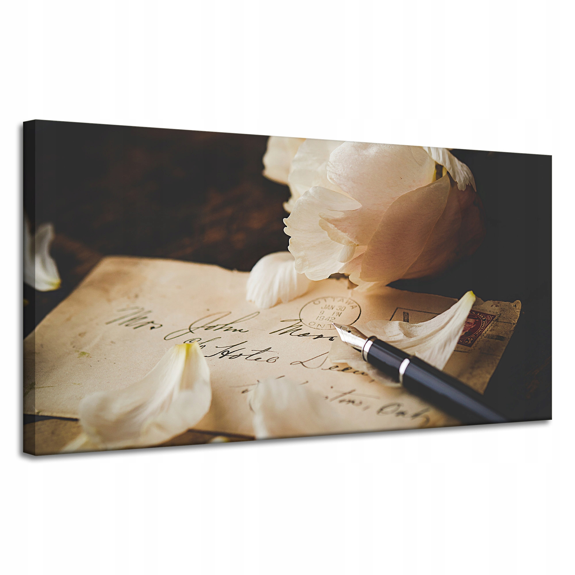 Obraz Canvas Botanika Vločky na listech 120x60 cm