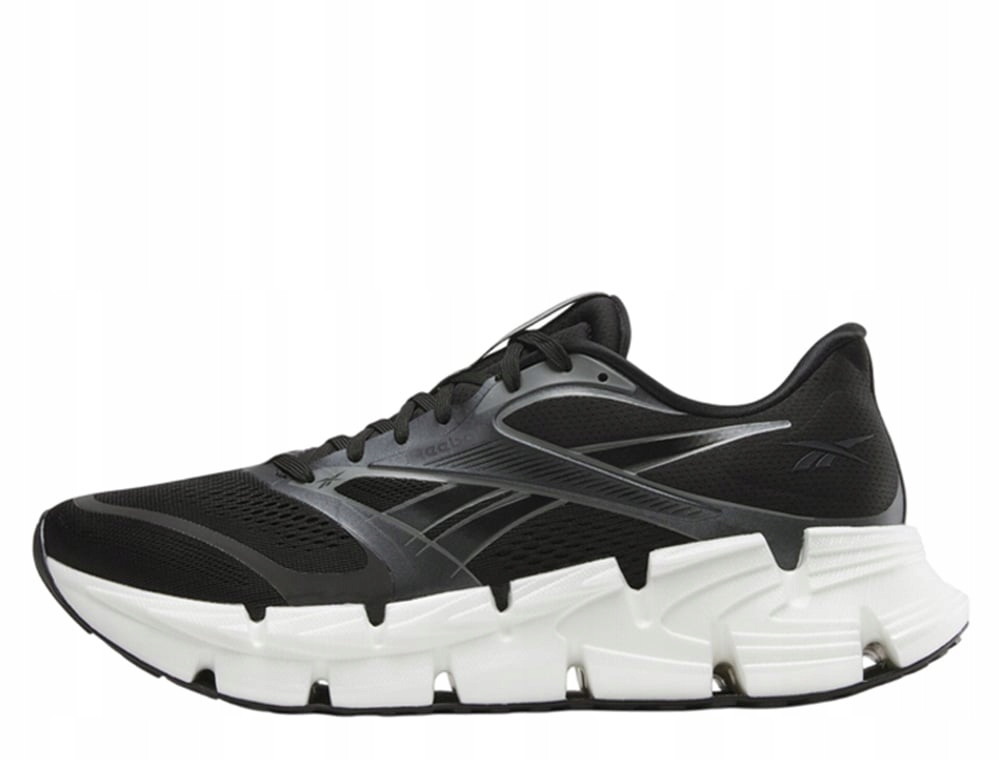 Pánské boty Reebok FloatZig 2 100225503 45.5
