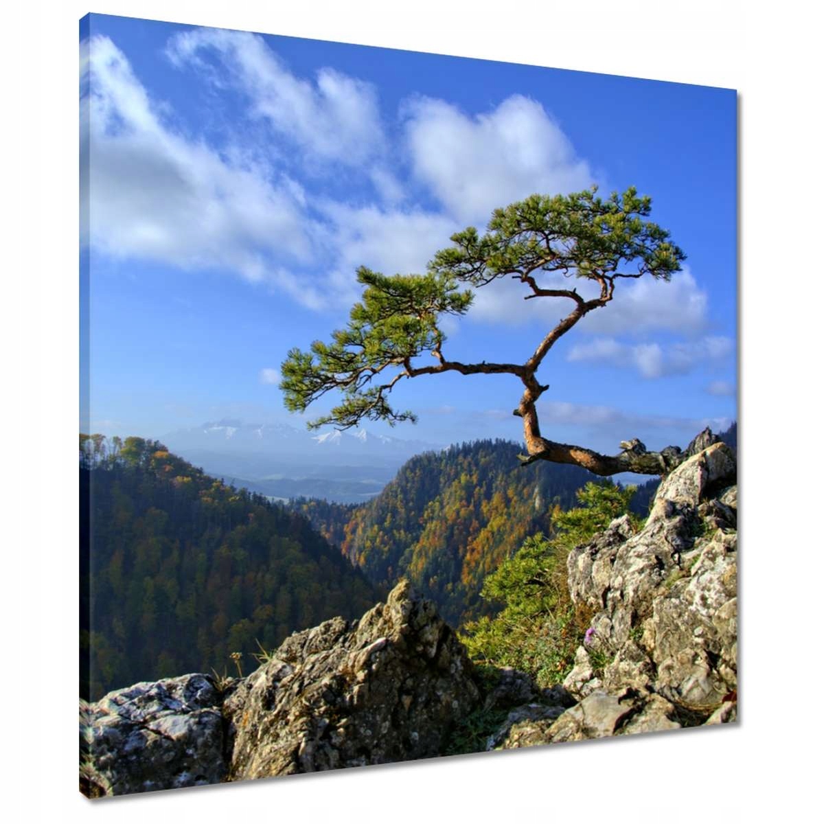 

Obrazy 60x60 Pejzaże Widoki Krajobrazy