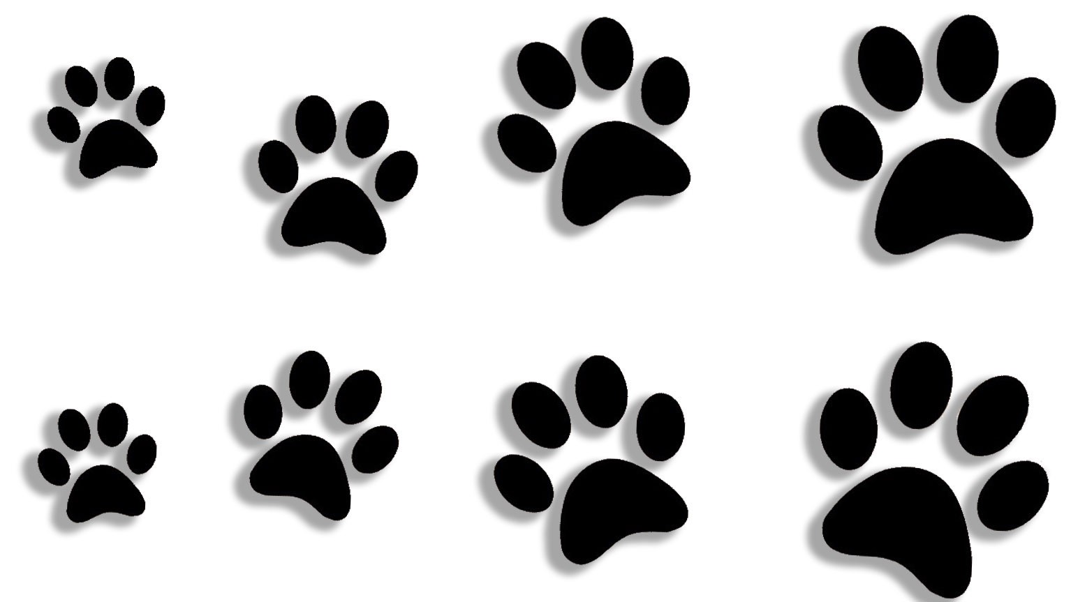 Wycinane naklejki Łapki Łapy Ślady 8 Sztuk kot pies J and A