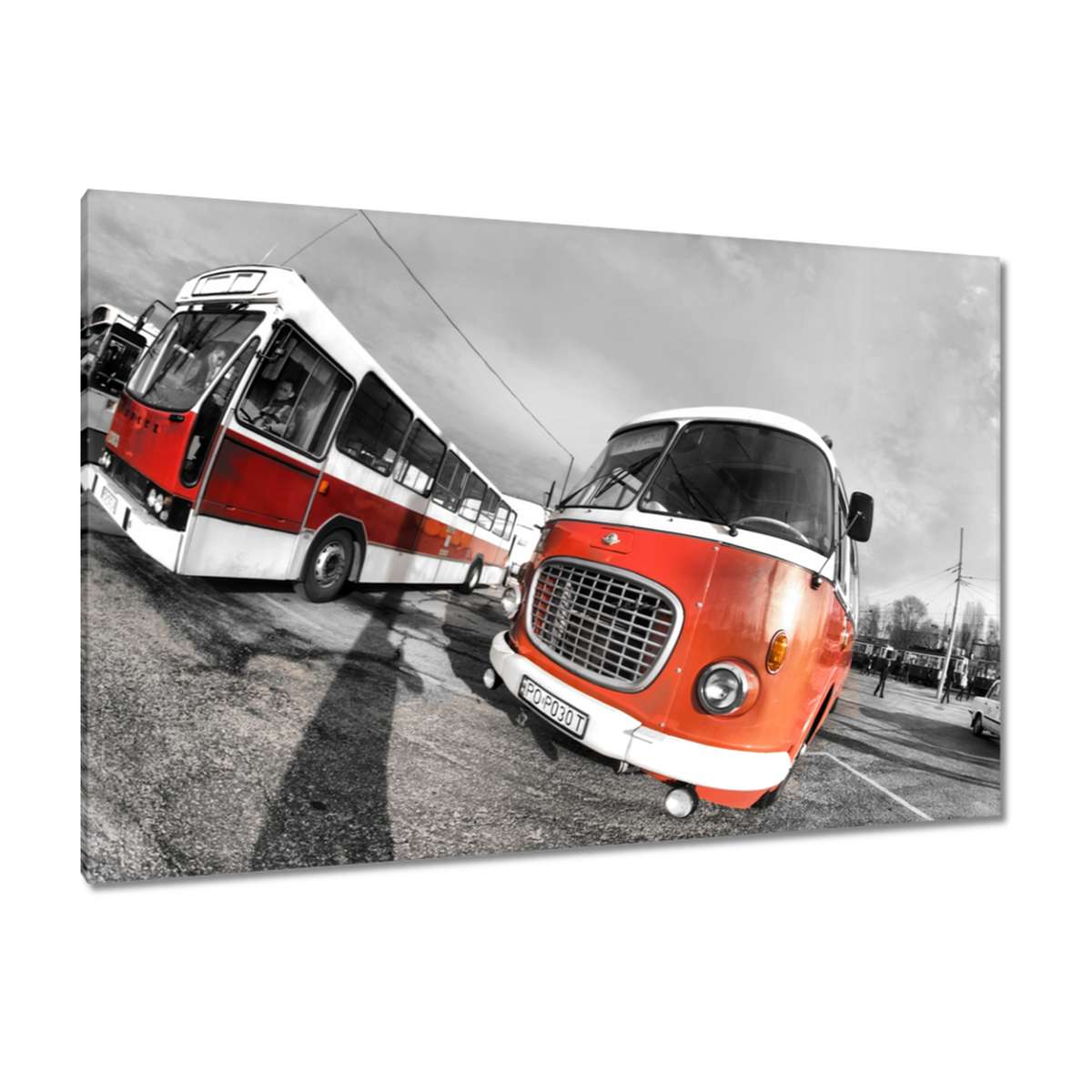 Obrazy 120x80 Červené jelče