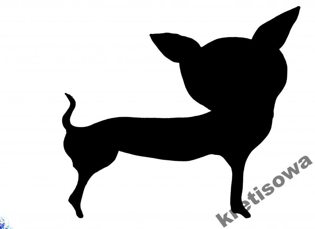 

Damska Koszulka Pies Buldog Husky Jamnik p2a