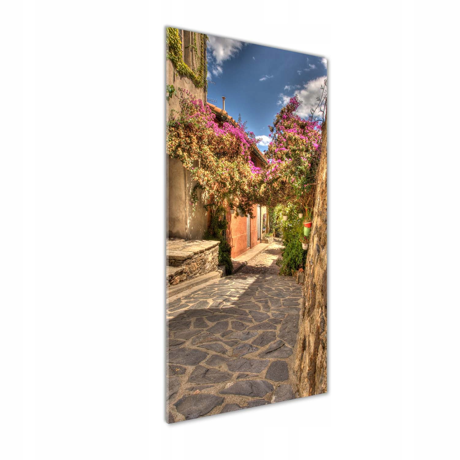 

Foto obraz na szkle Francuskie uliczki 50x125 cm