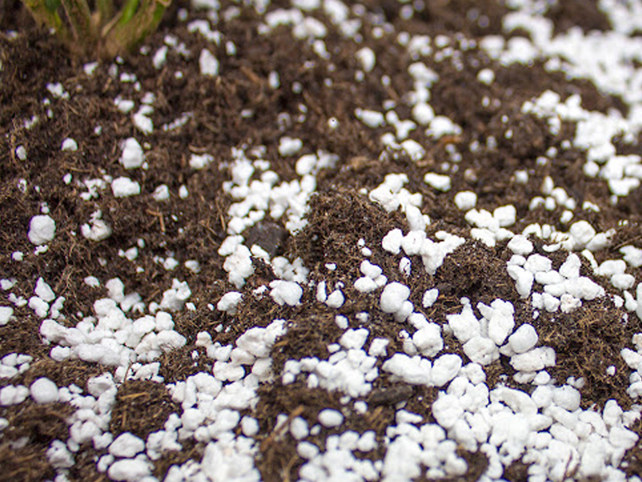 PERLIT OGRODNICZY NAWADNIAJACE BIO PODŁOŻE DO WARZYW ROŚLIN 1-4mm XXL 125L Kod producenta OG-PERLIT-125L