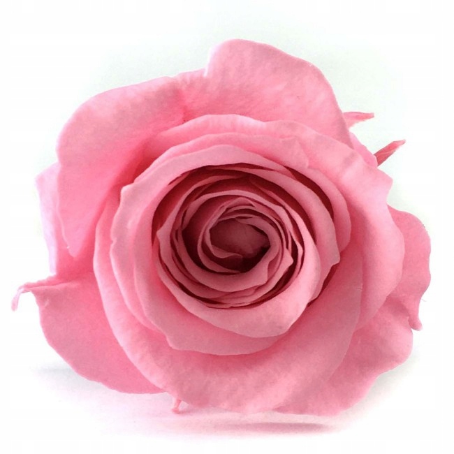 WKŁAD ZAPACHOWY SASZETKA TABLETKA UZUPEŁNIAJĄCA DO AUTA DYFUZORA RÓŻA Producent inny