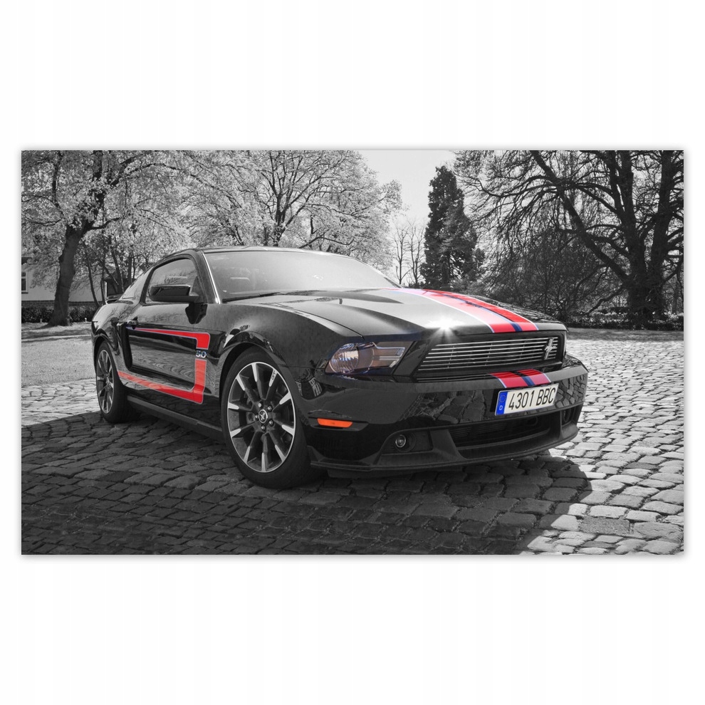 

Fototapety flizelina 416x254 Czarny Ford Mustang
