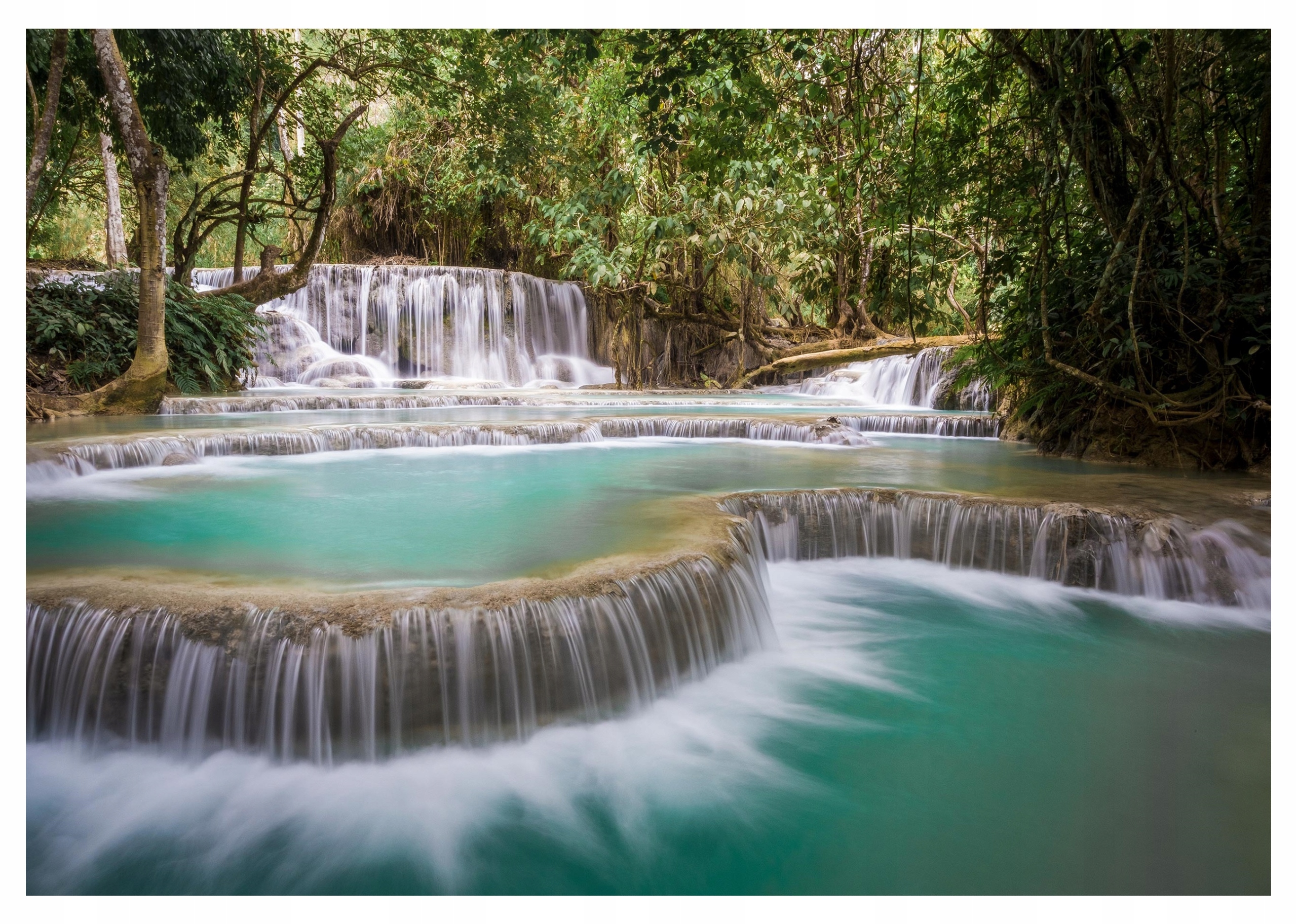 Fototapeta Vodopád 3D Les Příroda Stromy 312x219