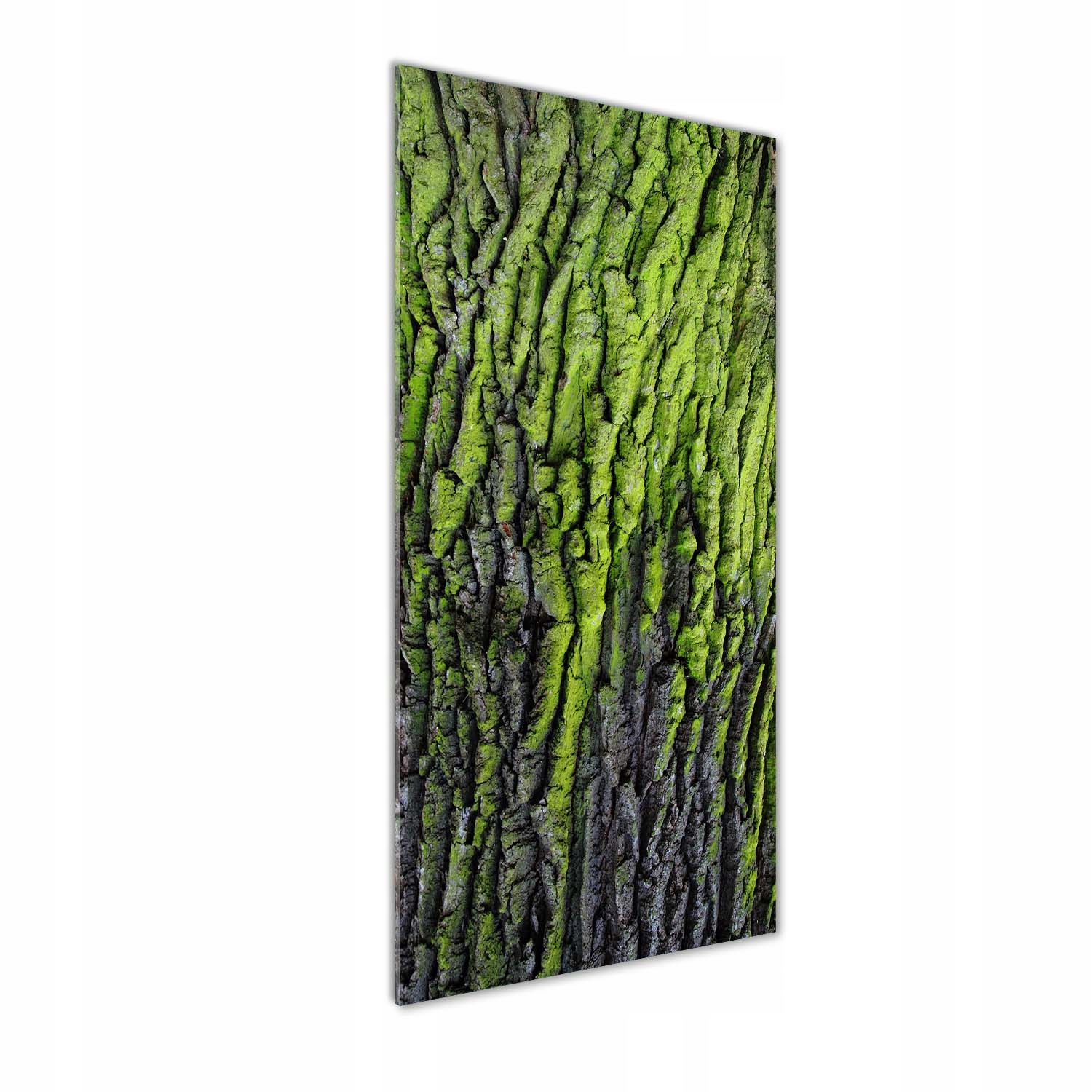 

Nowoczesny fotoobraz akrylowy Kora drzewa 50x125cm