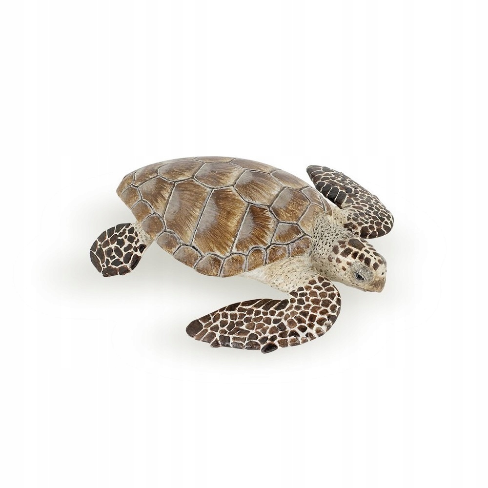 

Żółw Karetta Loggerhead turtle Papo 56005