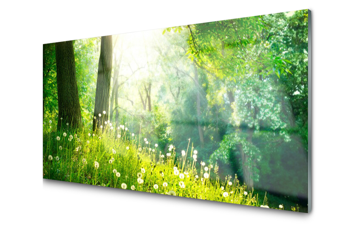 

Panel szklany Płytka Łąka Roślina 120x60 + Klej