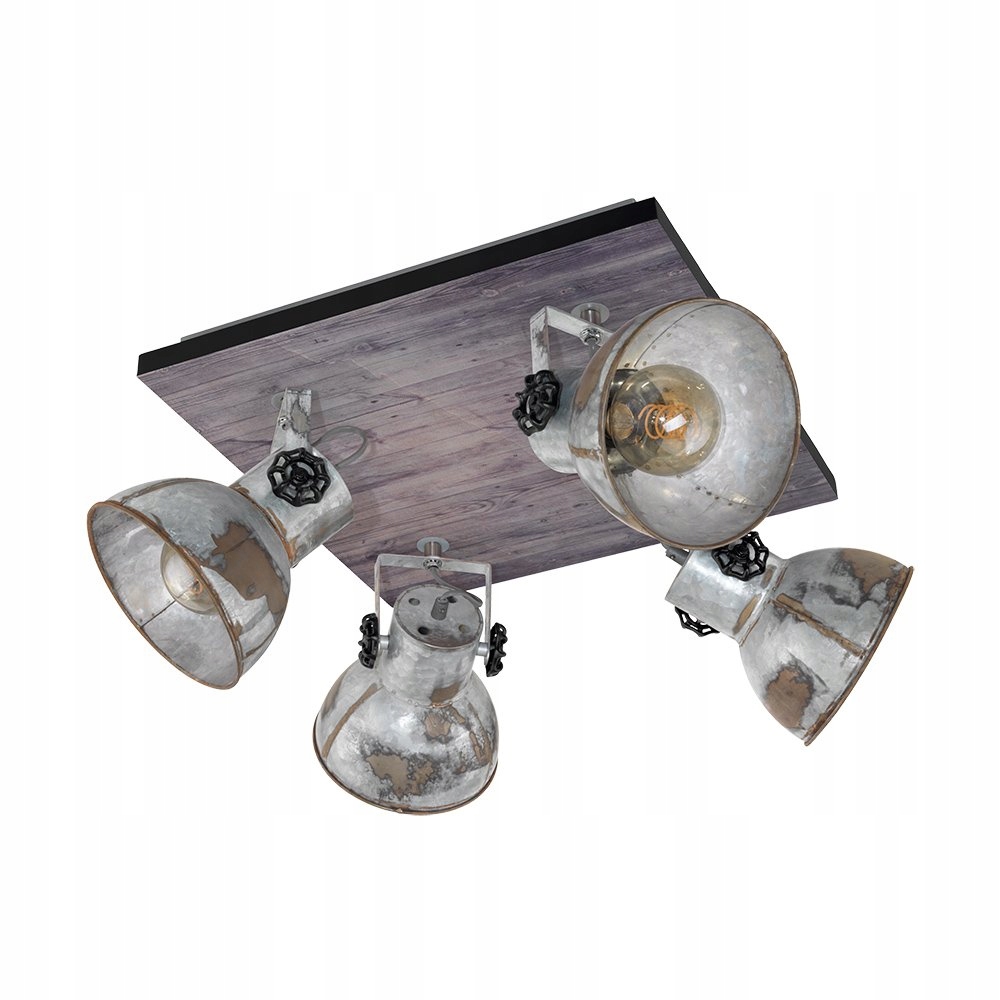 Lampa reflektor spot Barnstaple 49653 Eglo