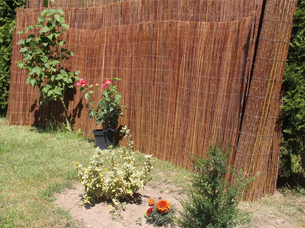 Mata wiklinowa - osłona z wikliny H 90 / 3 mb Rodzaj mata