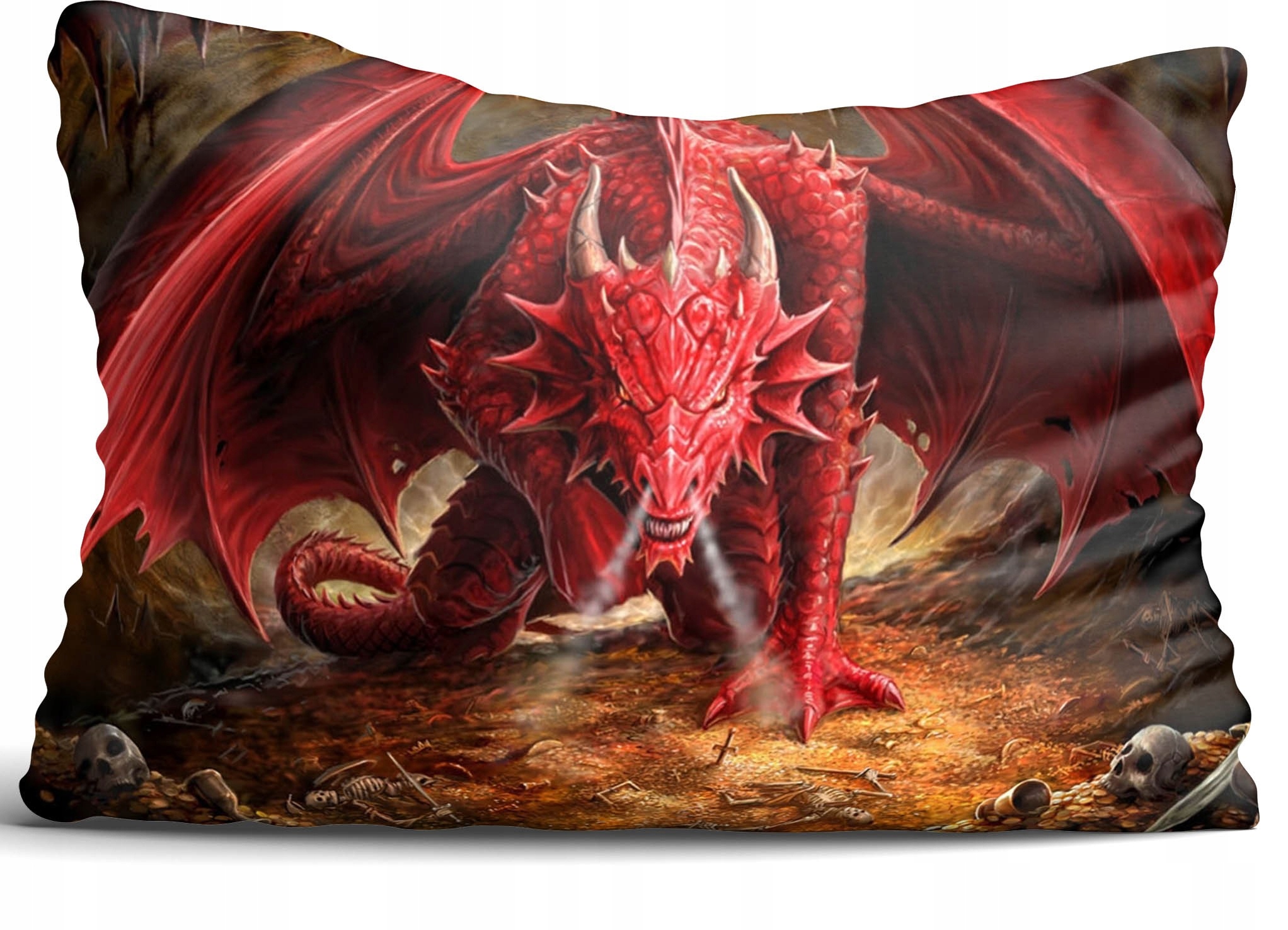 

Poszewka na poduszkę Dekoracyjna 40x60cm V51