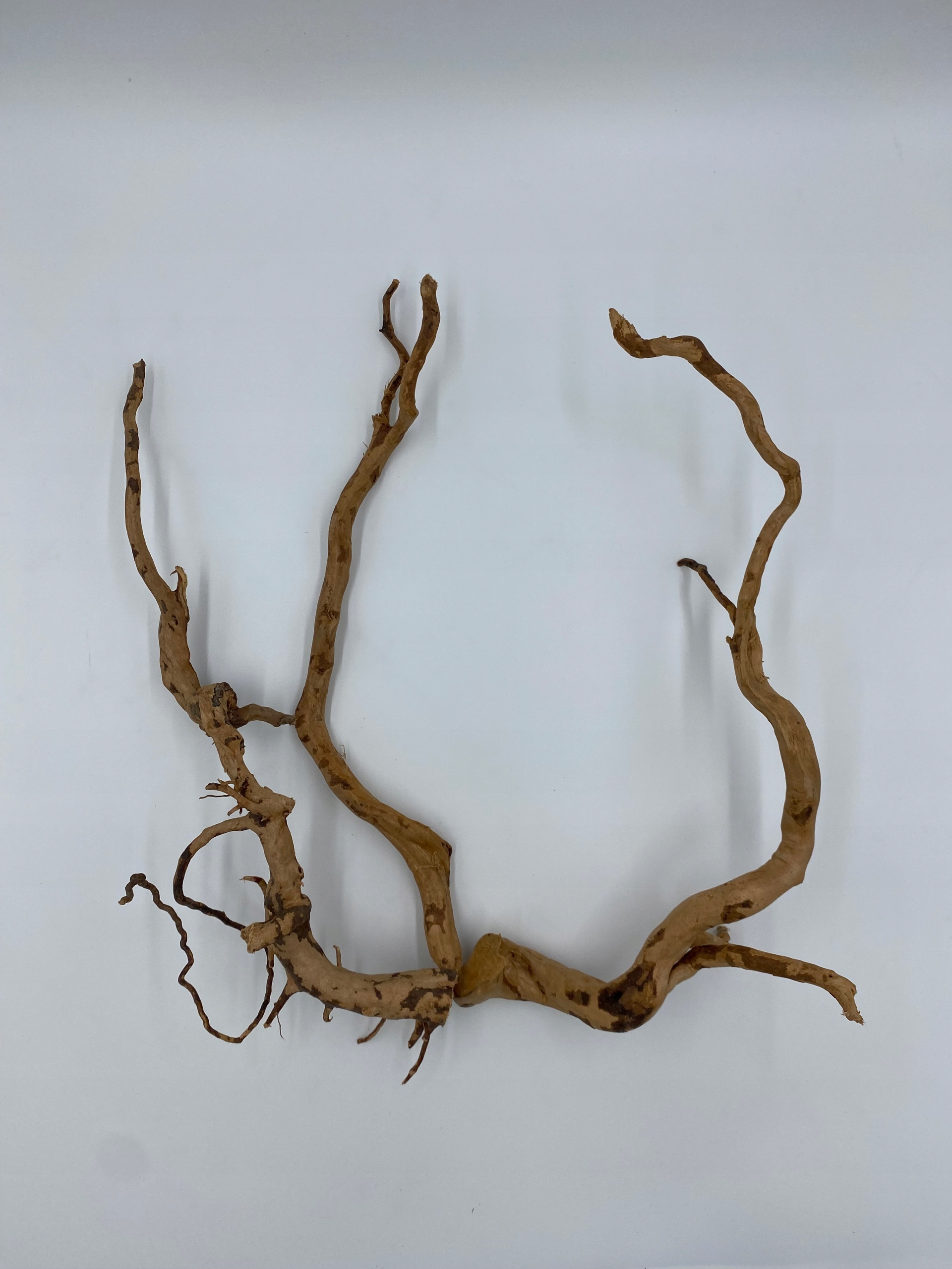 Levně Kořeny pro terarijní akvárium red moor 50 cm – Jako Na Obrázku (K34)