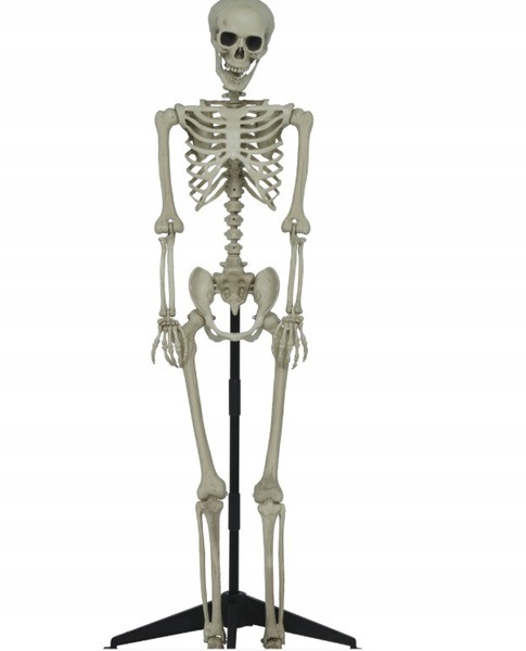 Dekorace Kostlivec Kostra Na Rámu Stojící 155 CM Halloween