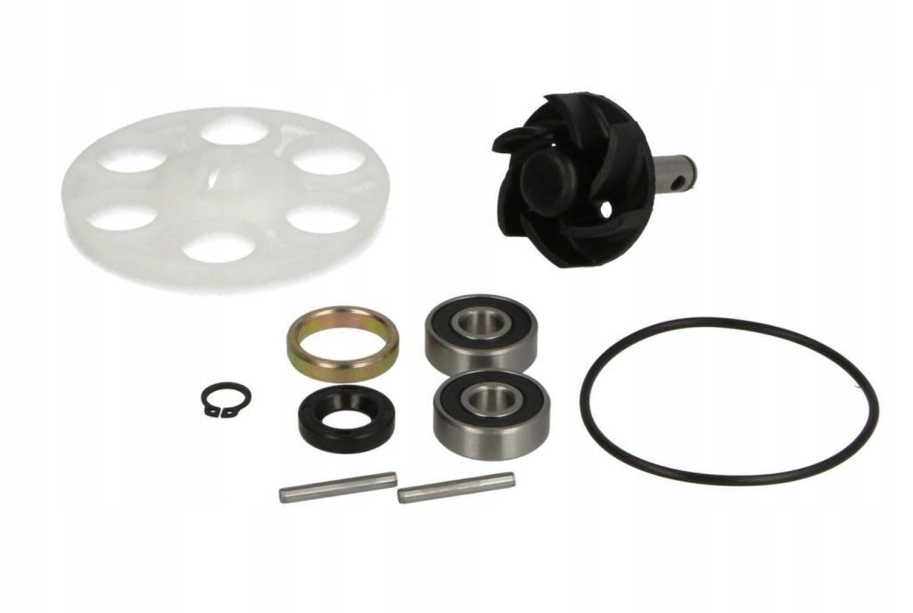 Zestaw naprawczy pompy wody do Aprilia Benelli Beta Italjet do Ktm Mbk Mala