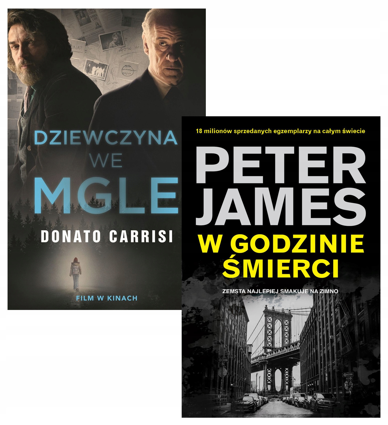Pakiet: Dziewczyna we mgle W godzinie śmierci Peter James Donato Carrisi