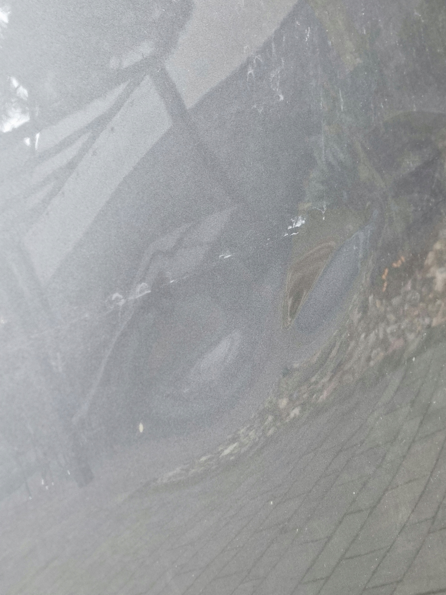 Motorhaube Mercedes-Benz A-Klasse W177 Bonnet Hood - Thumbnail 5