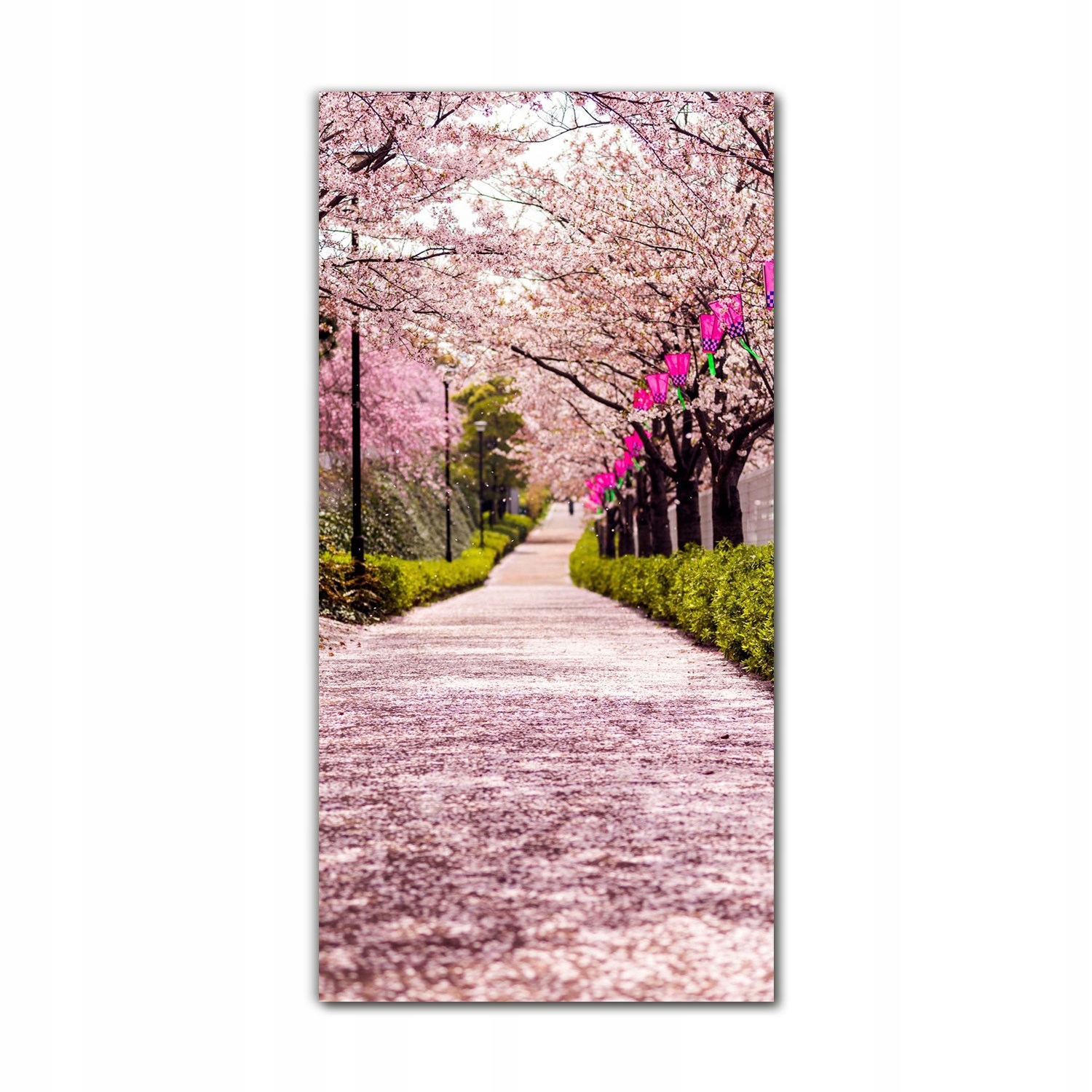 

Obraz na szkle ścienny 70x140 Płatki wiśni Tokio