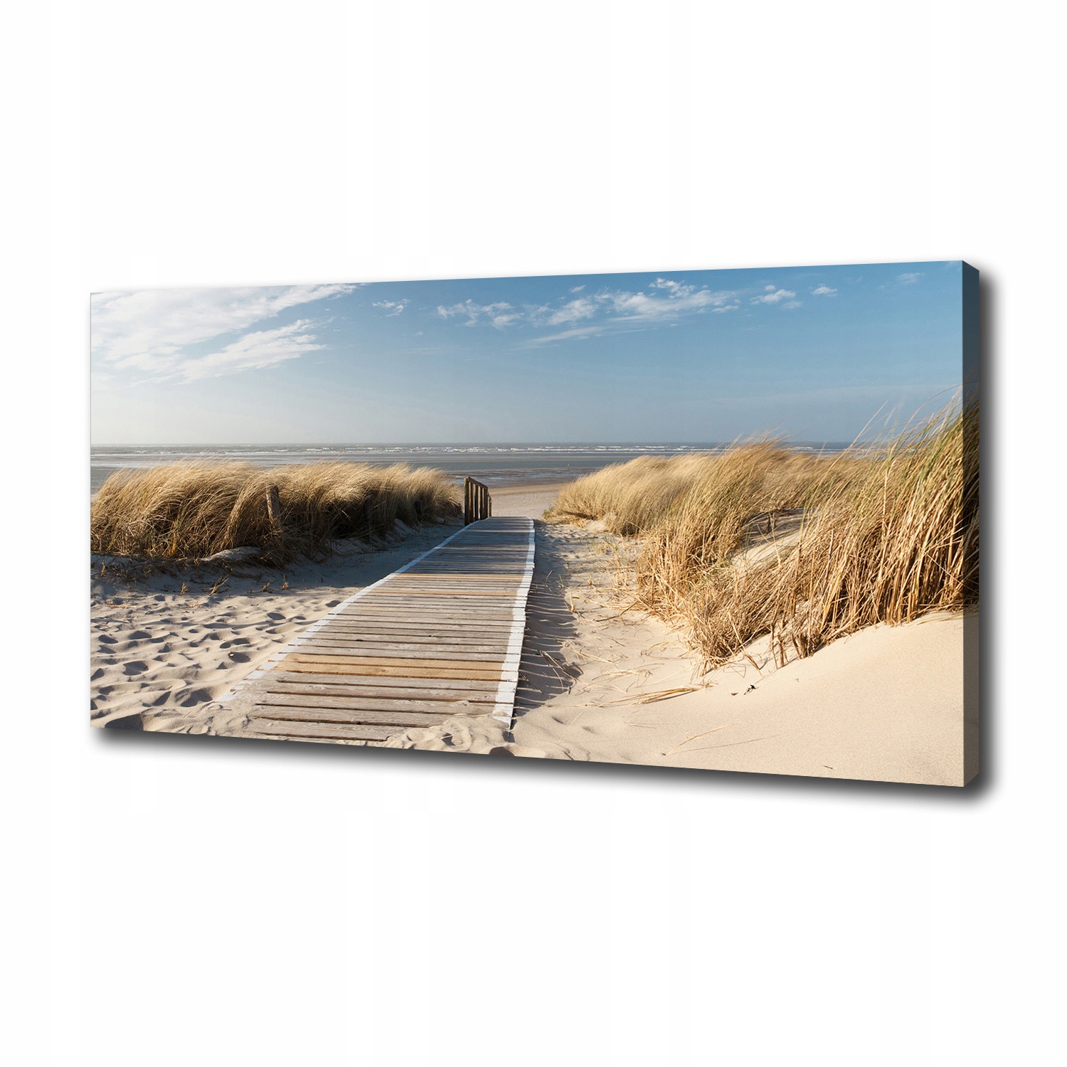 

Foto obraz na płótnie Ścieżka na plaży 100x50 cm