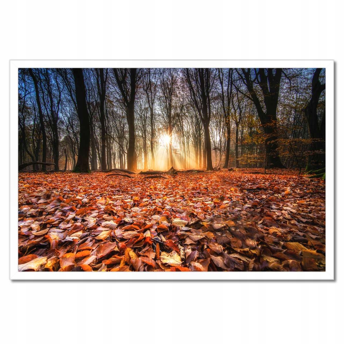 Plakáty v rámu 60x40 Podzimní pohled na krajinu