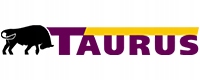 1x TAURUS WINTER 225/55R16 95 H Sezon zimowe