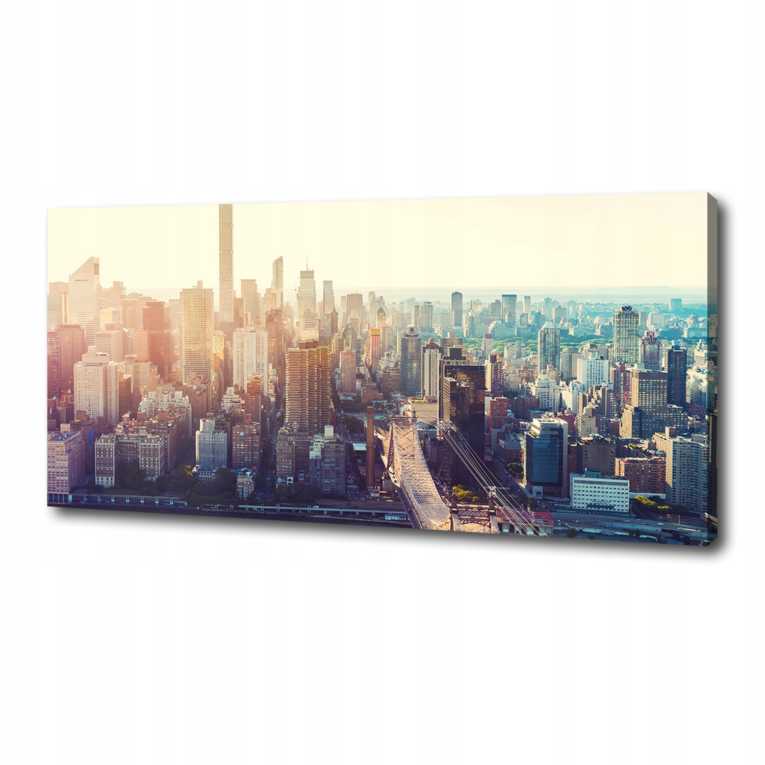 Fotoobraz obraz na plátně New York let ptáka 125x50 cm