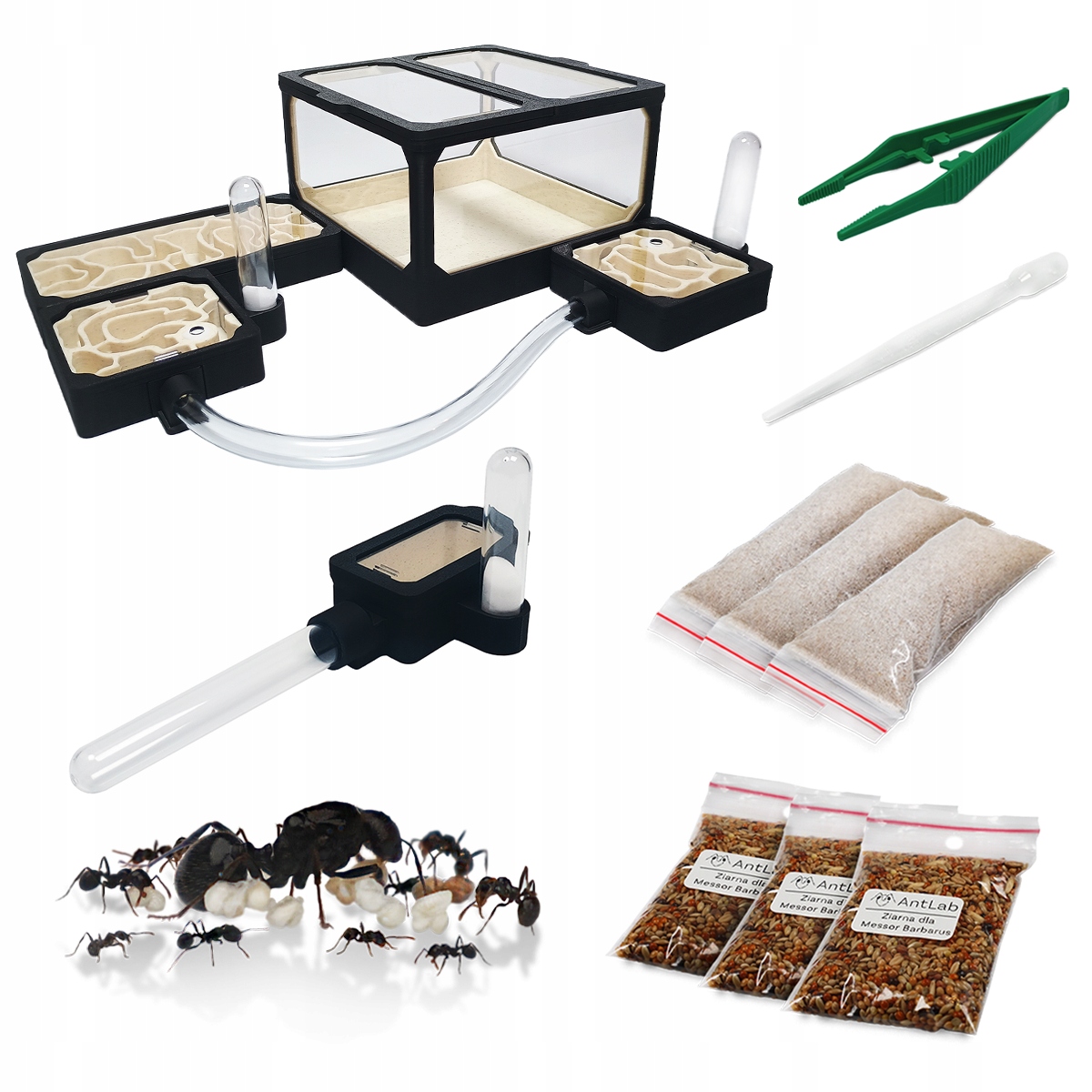 Chov mravenců pro děti – Startovací Sada Large M