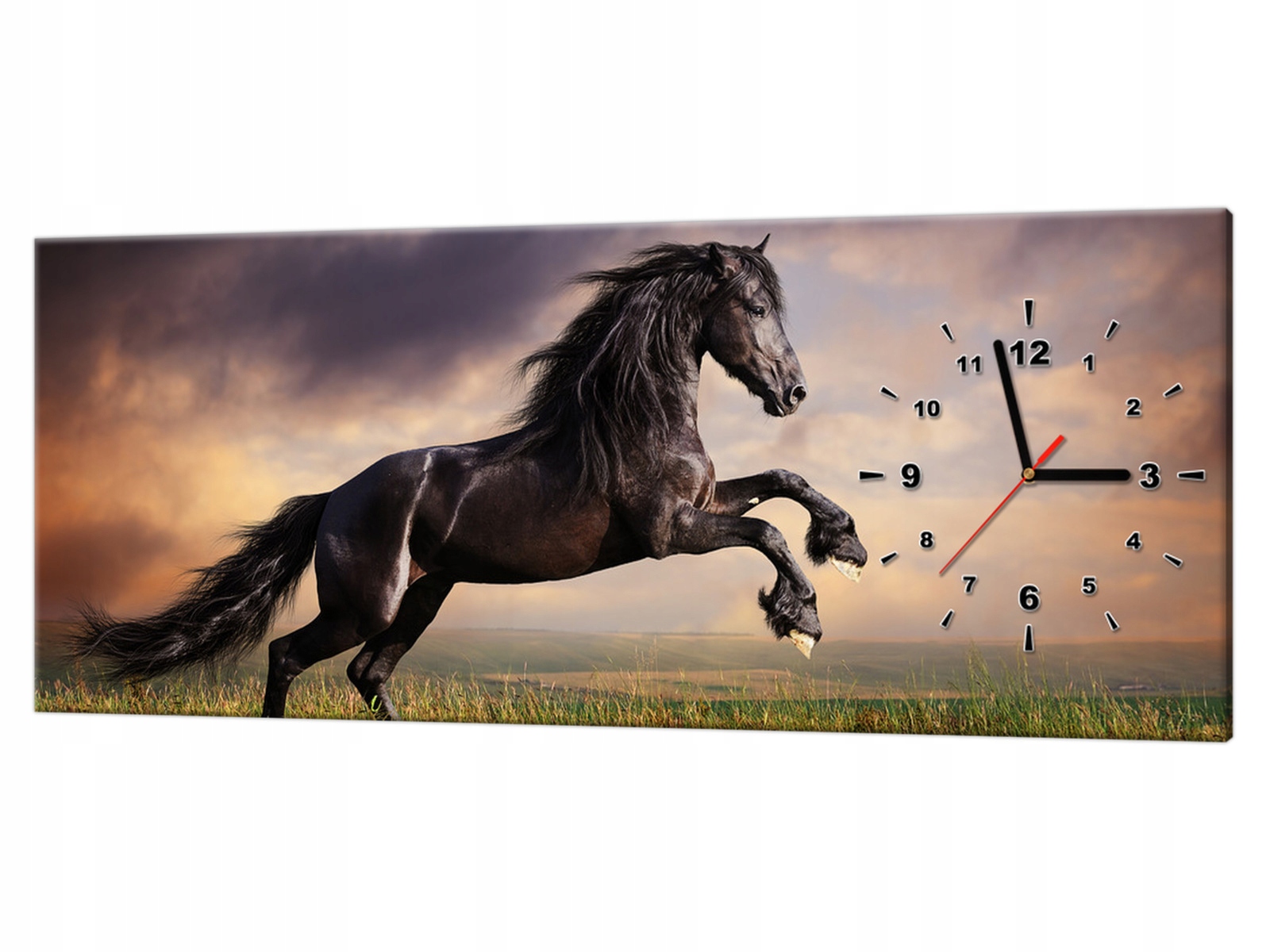 

Zegar na płótnie 100x40cm Koń staje dęba