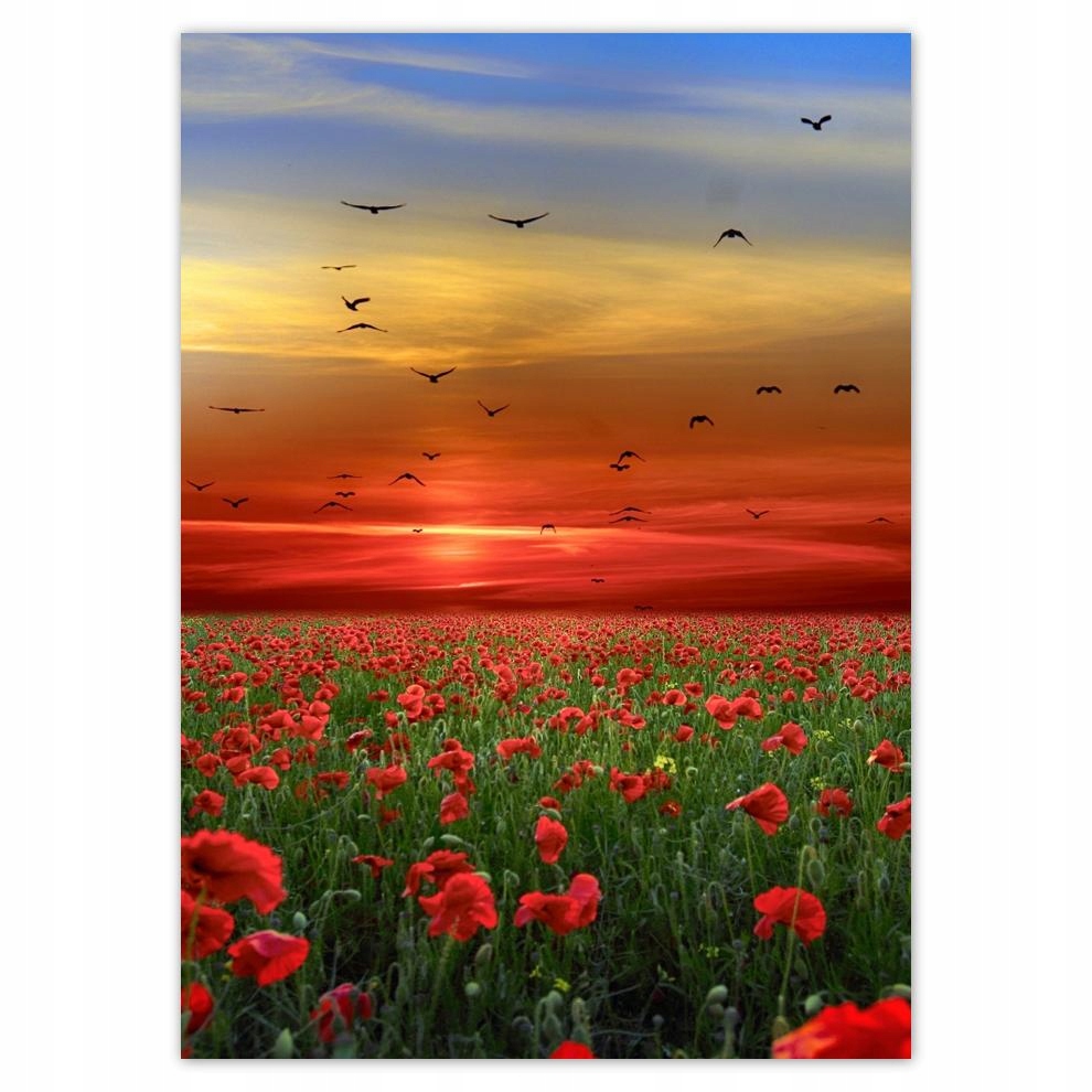 

Naklejki 50x70 Pejzaż Krajobraz Widoczek