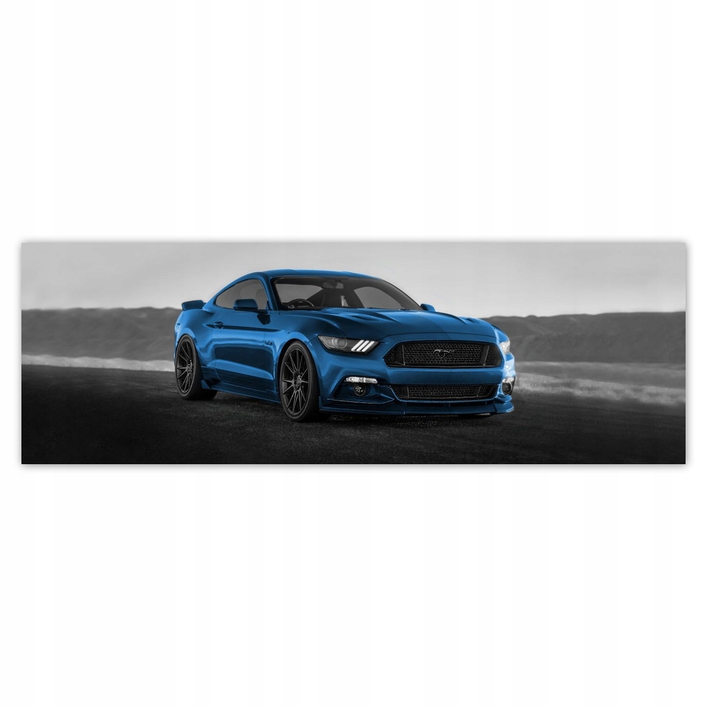 

Fototapety flizelina 312x104 Ford Mustang