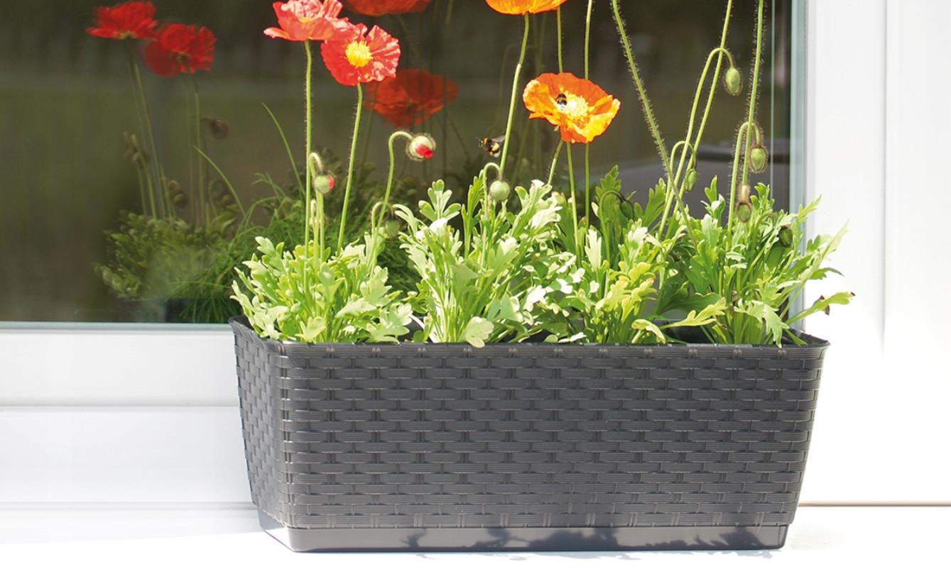 DONICZKA SKRZYNKA NA BALKON RATOLLA DRL400P Długość 1 cm