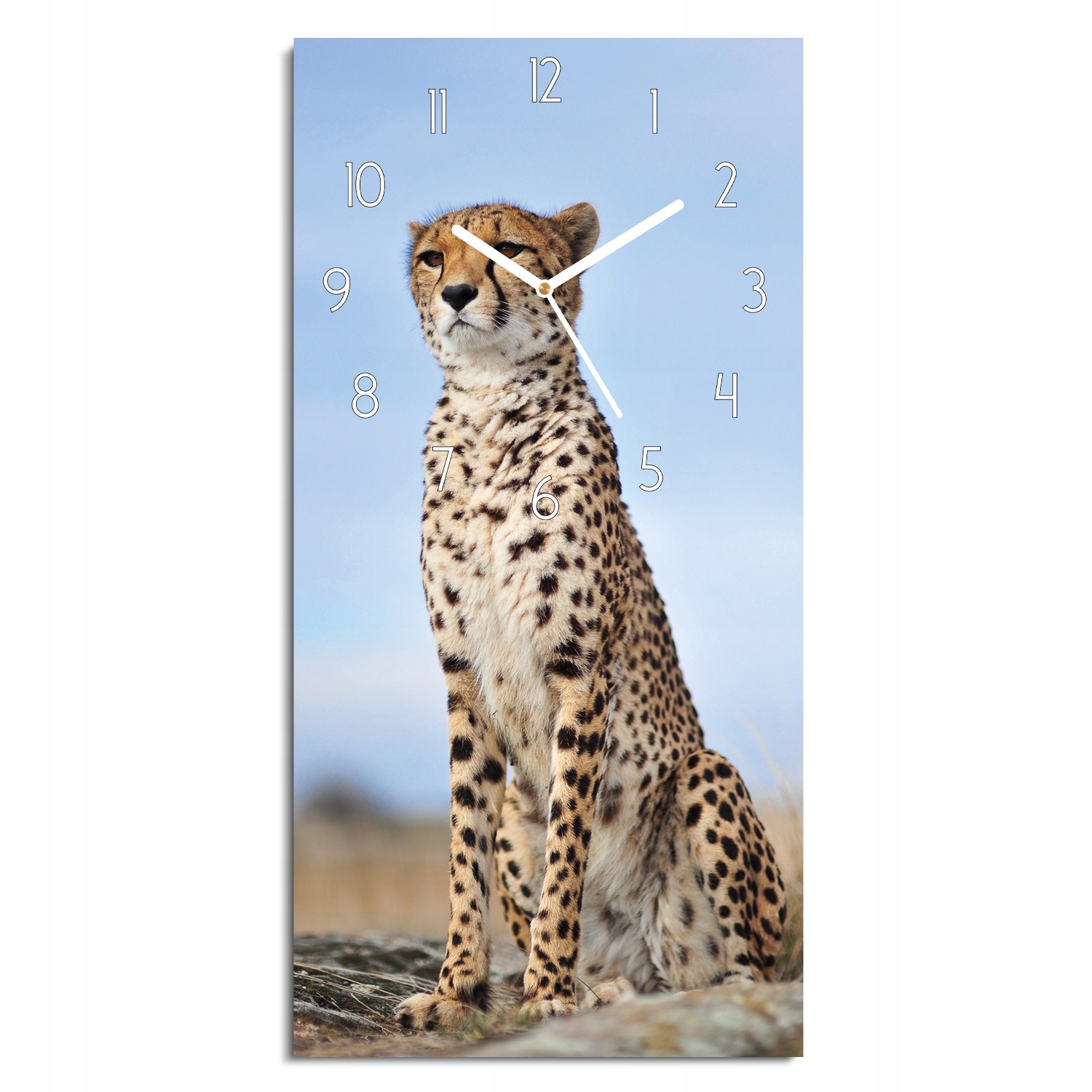 hodiny s fotografií Gepard příroda nebe do jídelny 30x60