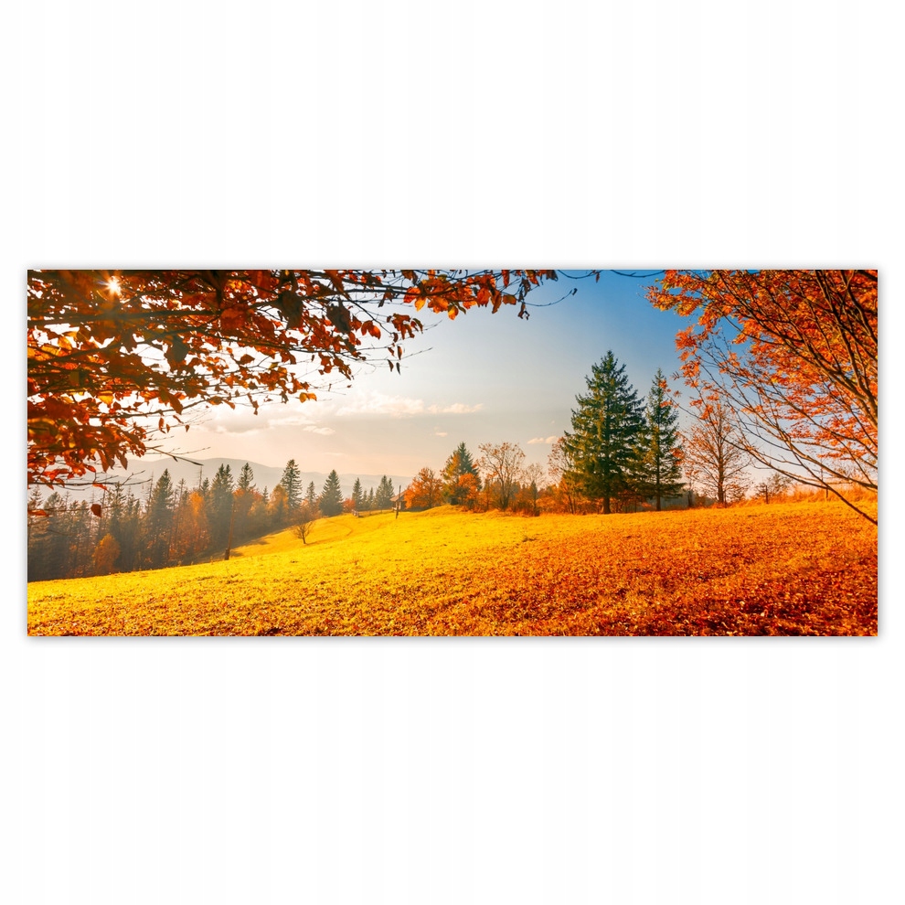 

Fototapety flizelina 211x91 Jesienny krajobraz
