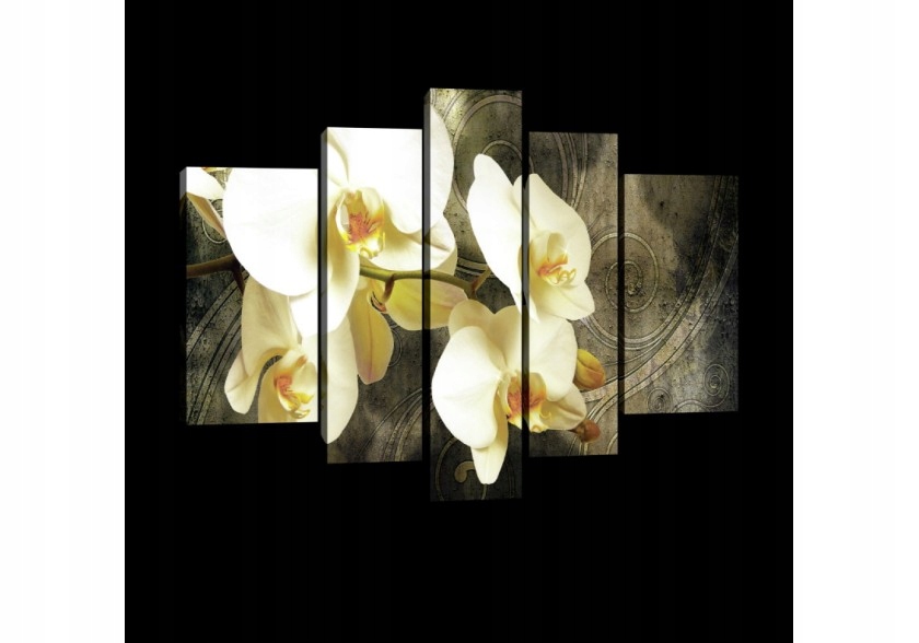 Obraz 170x100 Biele orchidey kvety príroda elegancia pokoj polyptych