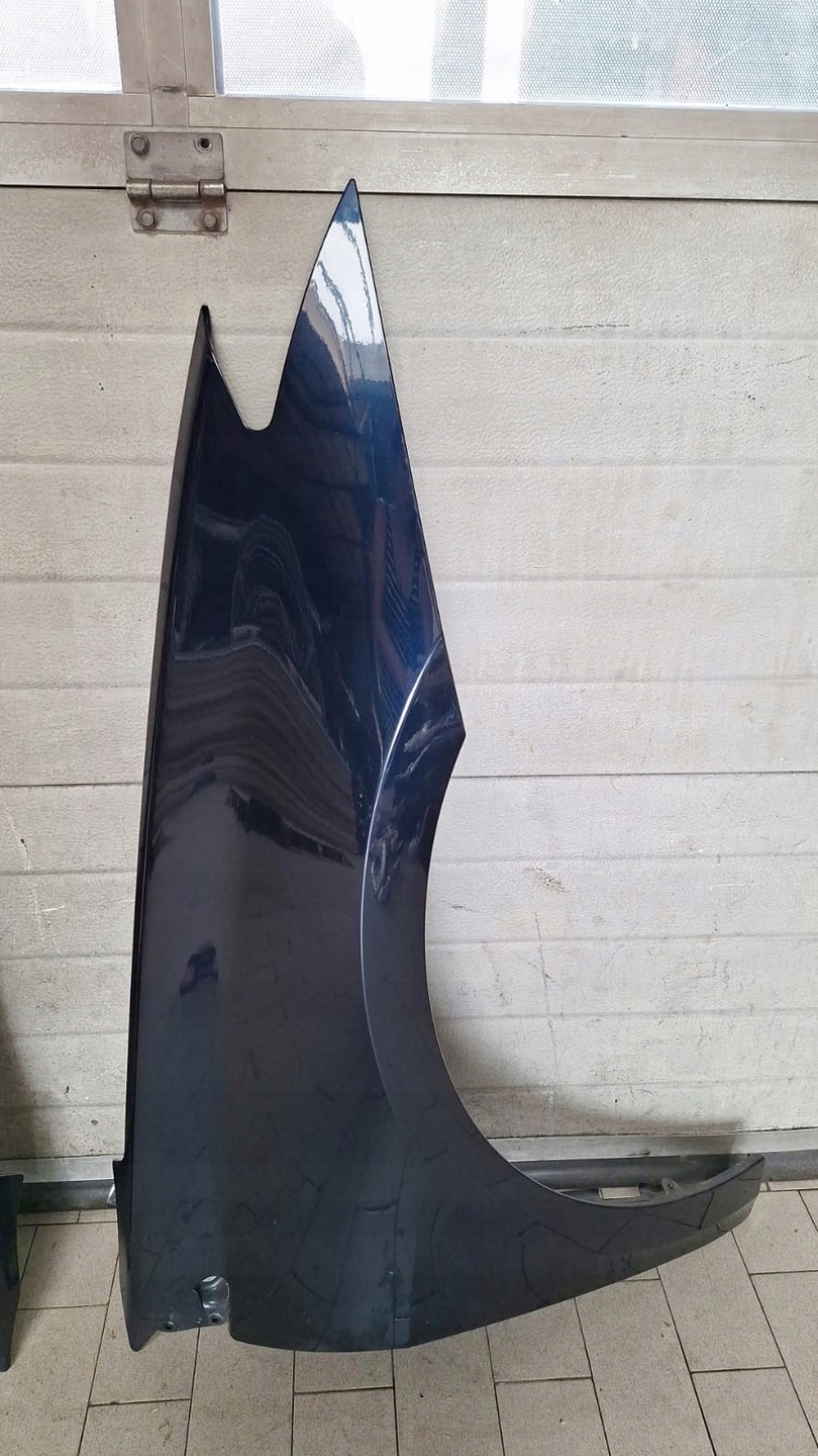 fender front right RENAULT LAGUNA III STAN B.DOBRY W colour