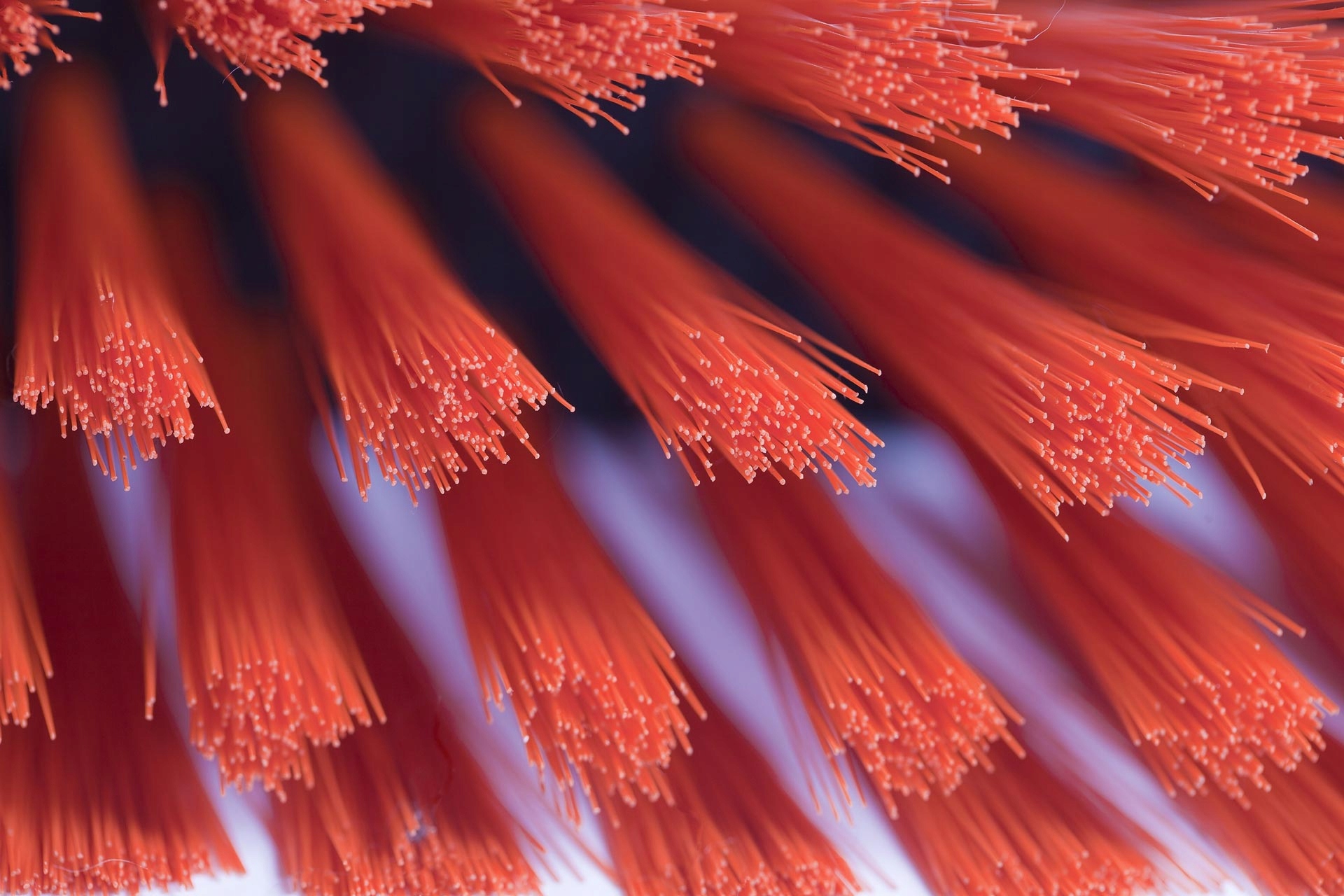 Szczotka Ulicówka 40 cm Miotła PRODUCENT Marka Euro-Szczot