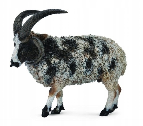 

Figurka Owca wieloroga L Collecta