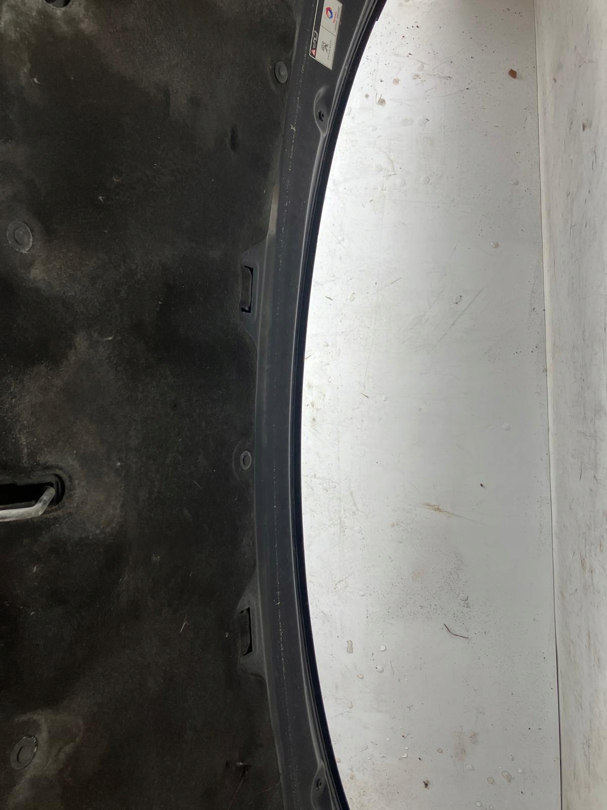 Sitz Kopfstützen heck RENAULT CLIO IV HB