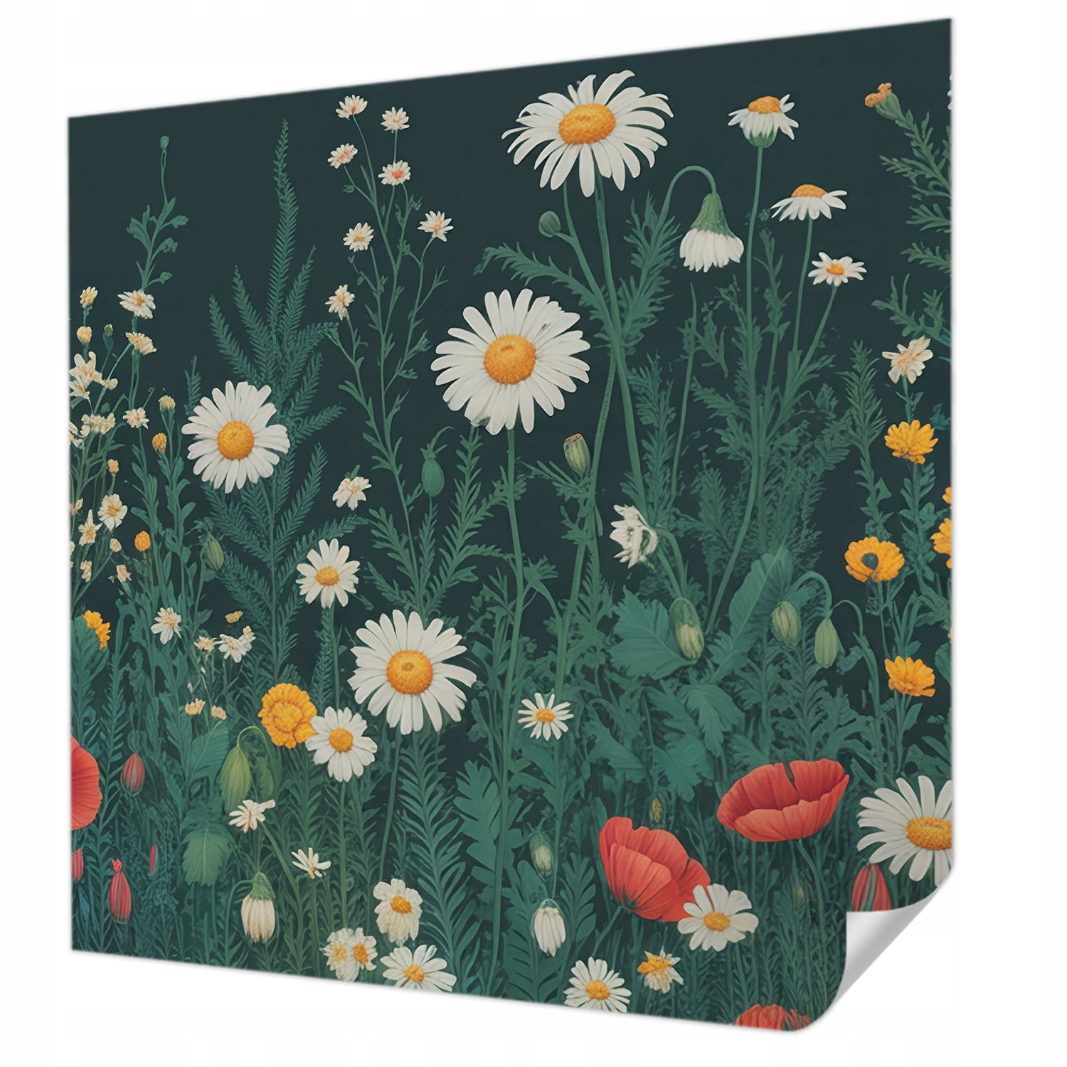 Samolepicí fototapeta Trvalá Nástěnná Dekorace Polní květiny 250 x 250 cm
