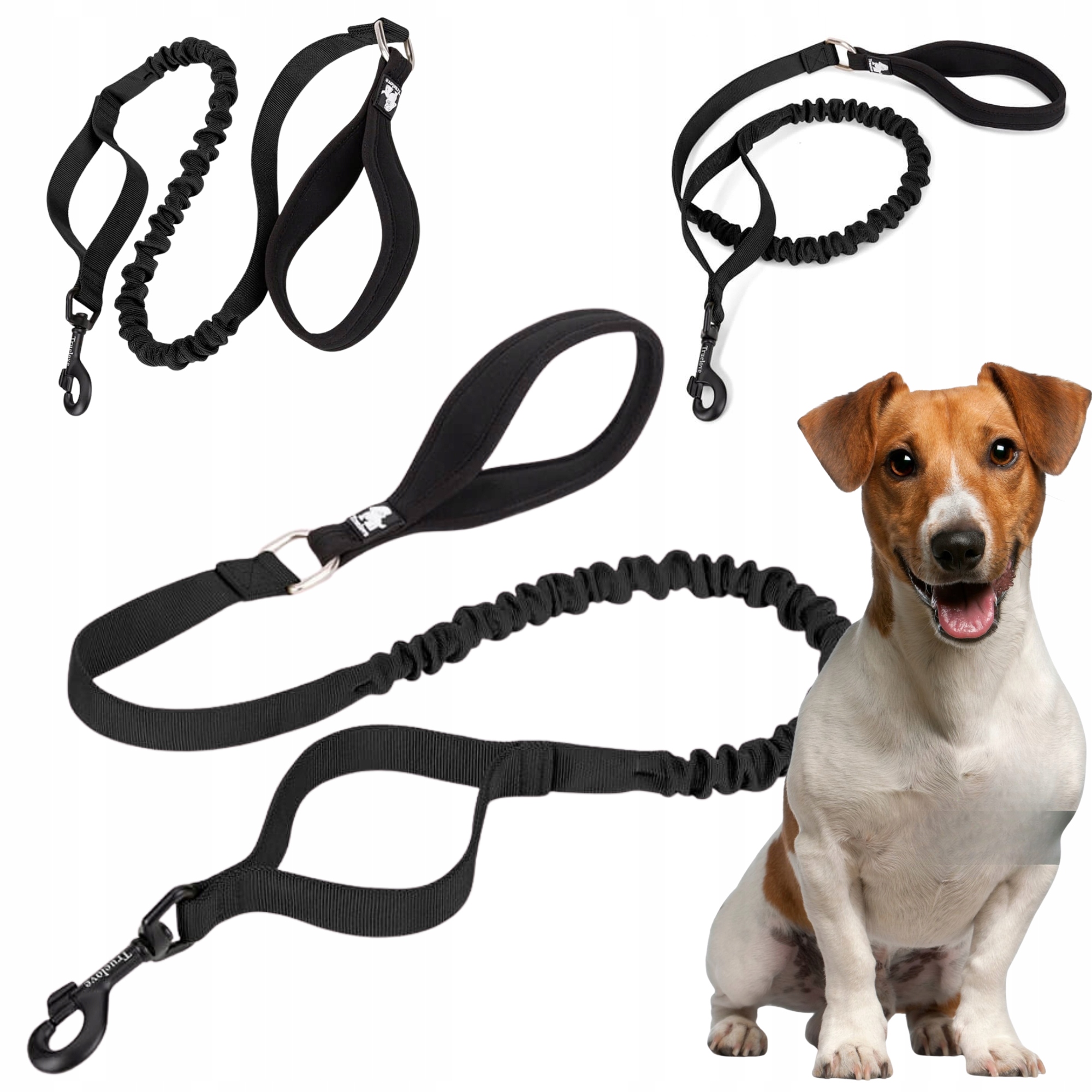 Levně Vodítko Pro Psa S Tlumičem Silná Truelove Adventure 160 CM Černá S