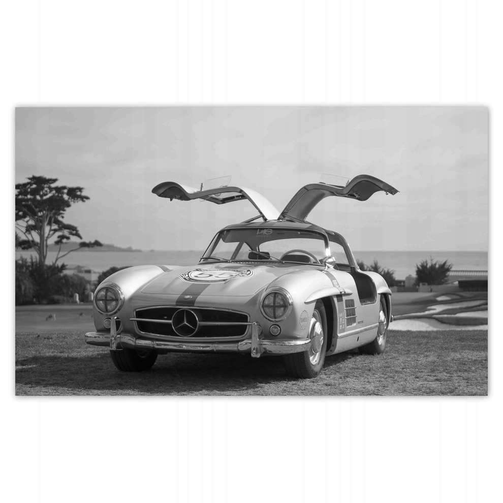 

Fototapety flizelina 520x318 Mercedes Gullwig