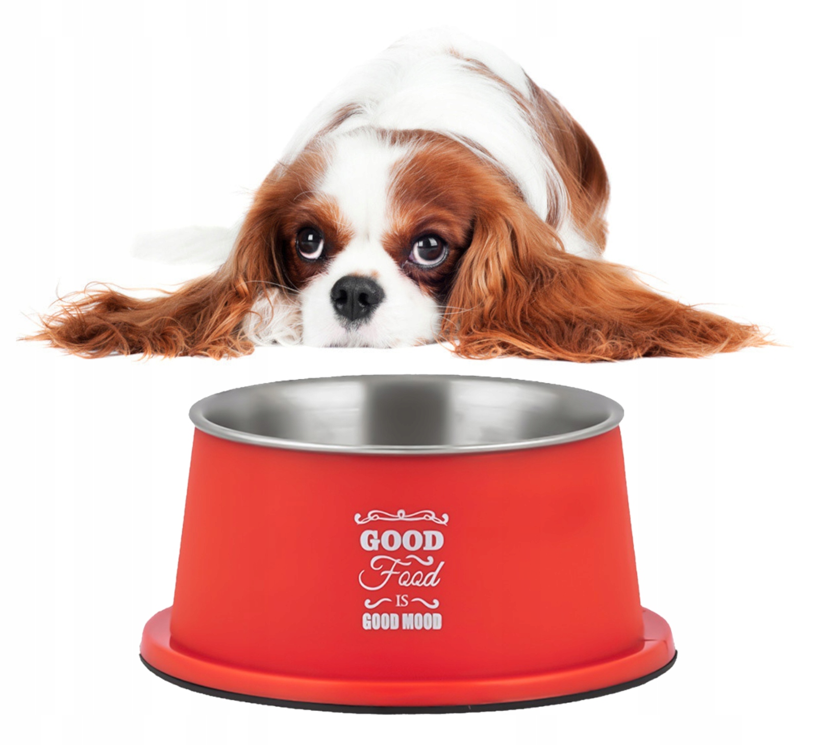 

Miska Dla Psa Delux Spaniel Długie Uszy 16CM/0,5L