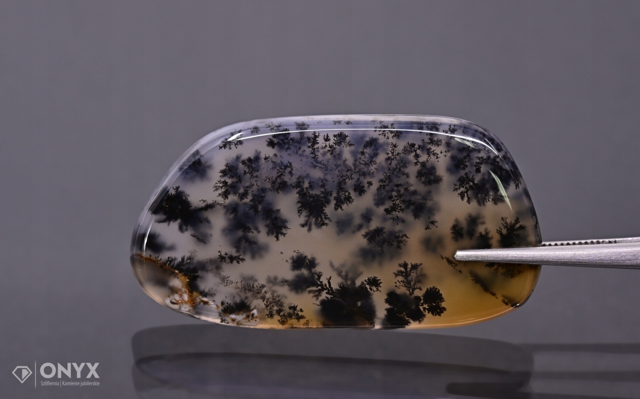 Dendritový achát z Kazachstánu nepravidelná destička