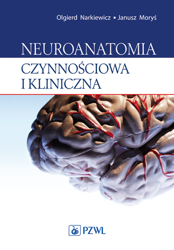 

Neuroanatomia Czynnościowa I Kliniczna Nowa
