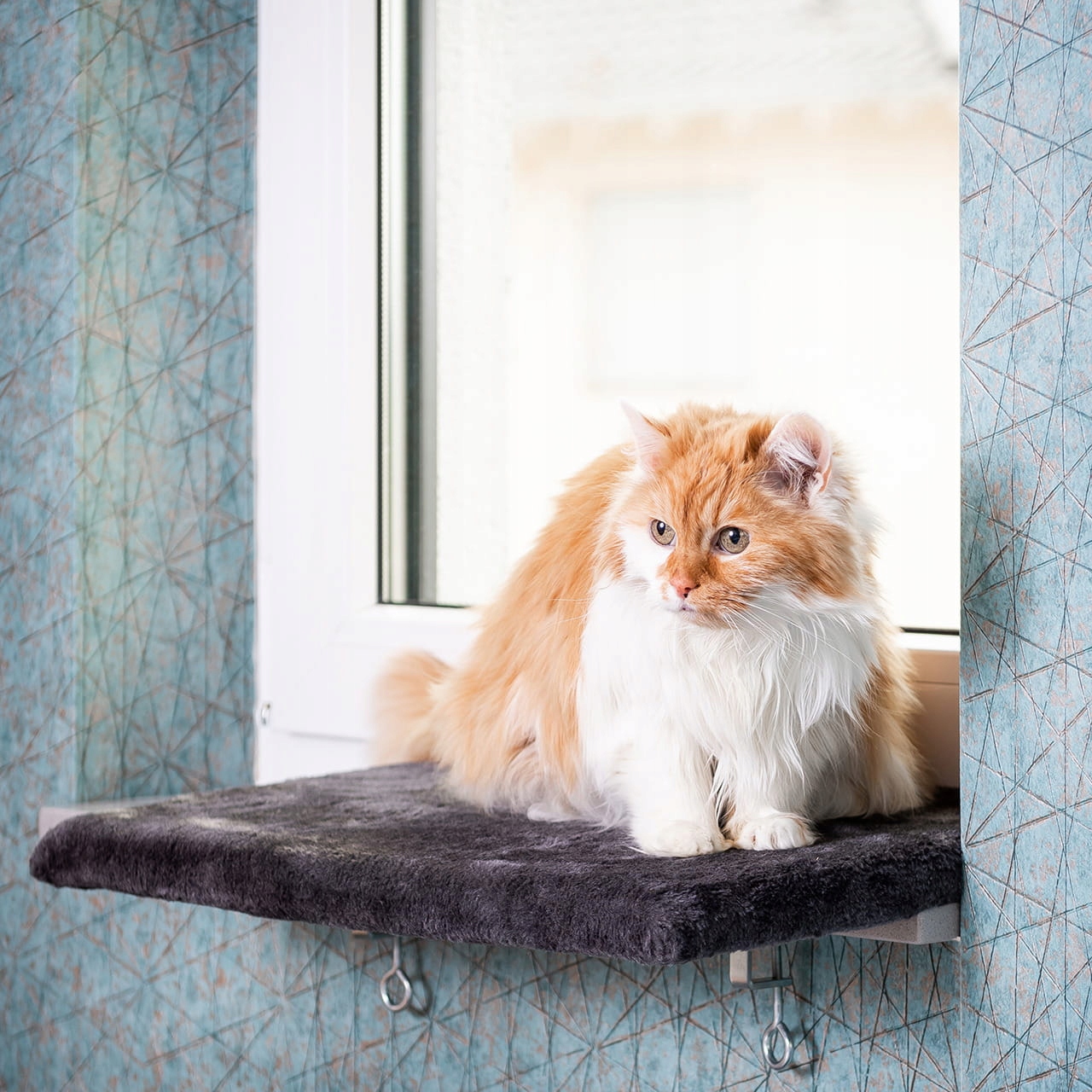 Levně Canadian Cat pelíšek na parapet lehátko pro kočky střední M